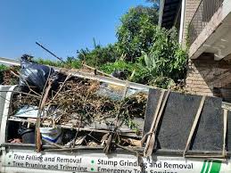 Shed Removal in North El Monte, CA